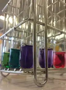 笼中猛虎，探索与挑战的压力测试，笼子中的老虎