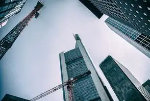 大数据中台架构，构建高效、灵活的数据处理平台，大数据中台架构包括