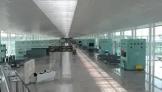 国际机场吞吐量的含义及其重要性，机场吞吐量的定义