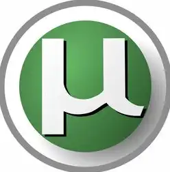 应用程序虚拟化软件，提升企业IT效率和用户体验的新利器，应用程序虚拟化软件有哪些