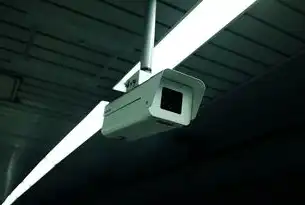 解析监控摄像头报警信号背后的安全奥秘，监控摄像头报警功能