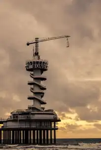 大数据信息平台建设的战略意义与实施路径，大数据信息平台建设方案