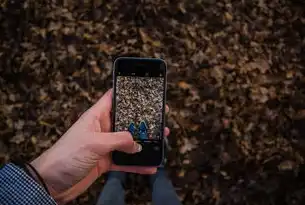 动态网站源码下载指南，探索与获取最佳开源项目，动态网站源代码