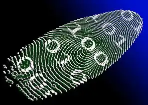 关键词与搜索引擎优化（SEO）的相关性，揭秘如何提升网站排名，关键词的相关性