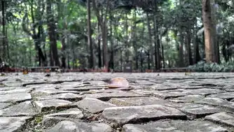 如何轻松注册网站，如何注册网站卖东西