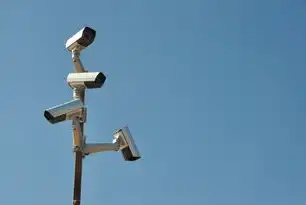 智能监控报警系统，构建安全防护新高度，智能监控报警系统毕业设计