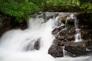武夷山旅游网建设，打造完美的旅游体验平台，武夷山网页