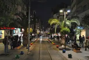 探索土耳其服务器的无限可能，解锁数字世界的全新篇章，土耳其服务器vps234