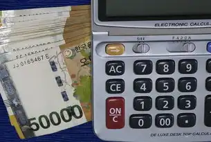 数字时代网站源码开发，技术架构创新与商业价值转化全解析