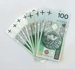 公安部出具的源代码安全审计报告，保障软件安全的权威认证，源代码安全审计机构