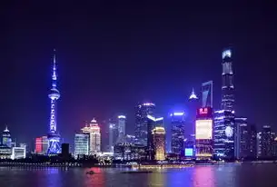 上海企业云服务的创新与未来，上海企业云服务平台