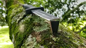 远程桌面服务开启脚本，全面指南与优化策略，远程桌面服务开启脚本怎么设置