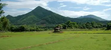 村居社区营造的重要性与价值，村居为什么要社区营造呢