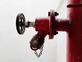 消防水泵流量和压力测试装置图集详解与应用指南，消防水泵流量和压力测试装置图集