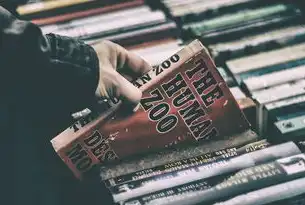 8点SEO，揭秘如何通过优化提升网站排名和流量