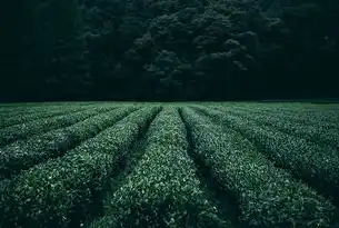 绿色农业网站源码，构建可持续发展的生态农业平台，绿色农业网站源码查询