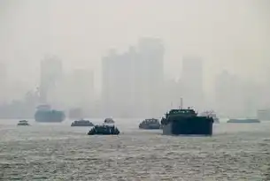 上海，东方之珠，魅力无限，上海 关键词