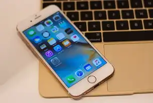IIS服务器无法找到ISAPI，深入剖析与解决方案，找不到iis express