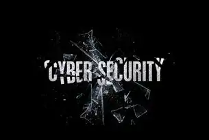 注入漏洞网站源码揭秘，安全防护与防范策略，注入漏洞网站源码怎么用