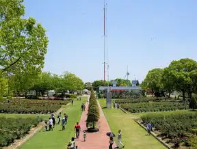 云桌面管理软件免费，开启高效办公新篇章，云桌面 软件