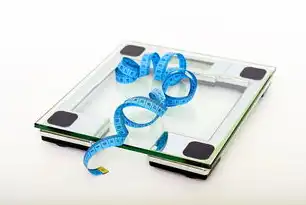 负载均衡产品，优化网络流量，提升用户体验，负载均衡产品IDC排名中国区