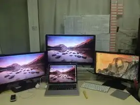 云主机与服务器租用的深度解析，构建高效、灵活的计算解决方案，云主机和服务器租用哪个好