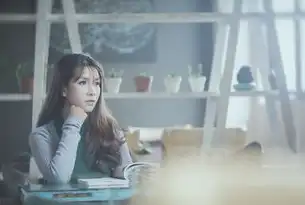 美女网站源码，打造个性化在线平台的艺术与挑战，美女网站源码大全