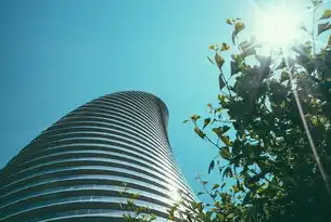智慧城市项目案例，探索未来城市的无限可能，智慧城市建设案例