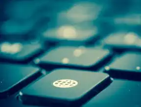 SEO，揭秘网站排名背后的秘密，利用seo怎么挣钱