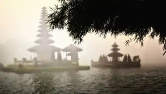 桌面远程服务开启，探索数字时代的无限可能，桌面远程服务开启什么意思啊怎么设置