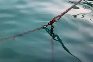 锚关键词，数字营销与品牌战略，m关键词