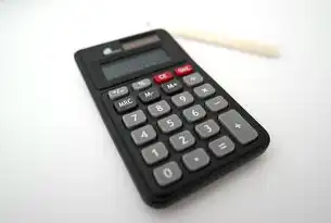 独立IP与共享IP，服务器选择的差异化策略，服务器共享型什么意思