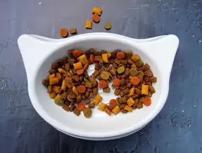宠物用品网站，满足您和您的毛孩子的一切需求！宠物用品网站PHP源码