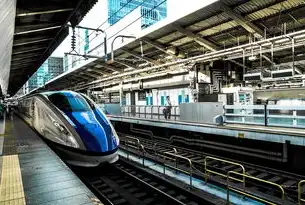 香港官网服务器，构建全球化的数字桥梁，香港网站服务器