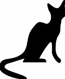黑猫SEO与白猫SEO，揭秘网络营销的两面性，黑猫白猫是什么牌子
