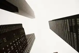如何建立企业官网服务器，从零开始构建专业网络门户，如何建立企业官网服务器连接