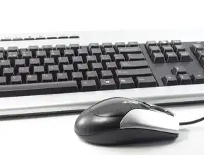2008服务器 ASP 打不开问题解决指南，asp中的server出错
