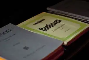 核心词与关键词的区别，揭秘SEO策略中的关键差异，核心词与关键词区别在哪