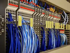 平台管理服务器CMS-1000-500，构建高效、稳定的数据中心解决方案，平台管理服务器的安装方法