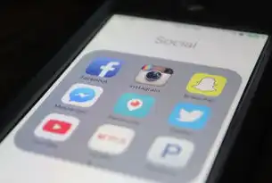 SNS社交网站.NET源码解析与开发实践，sns社交网站排行榜