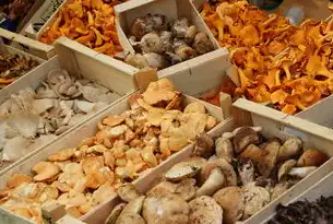 蔬菜销售网站源码，构建高效便捷的在线购物平台，蔬菜销售网站源码查询