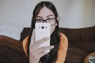 网站URL，探索无限可能—发现未知世界的秘密，国外网站url