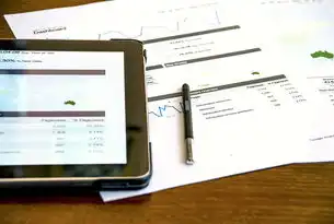SEO经理访谈，揭秘数字时代下的营销策略，seo团队风采