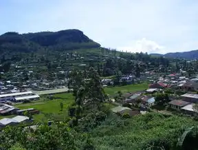 白云区社会组织培育基地，助力社区发展新篇章，白云区社会组织培育基地有哪些