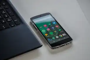百兆独享服务器能跑多少IP，性能与限制解析，百兆独享服务器租用