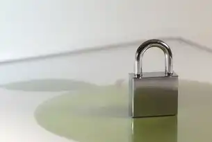 如何设置应用安全锁，保护个人隐私与数据安全的全方位指南，如何设置应用安全锁密码