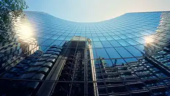 行业云与公有云，定义、特点及选择指南，行业云 公有云