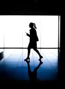SEO瞬时网络，揭秘如何快速提升网站排名