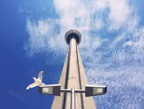 绍兴SEO哪家好？揭秘行业翘楚，助您抢占网络制高点！绍兴seo排名公司