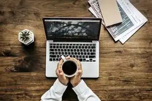 SEO，揭秘搜索引擎优化背后的秘密，网站seo和sem是什么意思